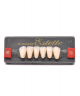 WIEDENT ESTETIC LOWER ANTERIORS SHADE A1